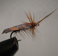 ���� ����� Dry fly  